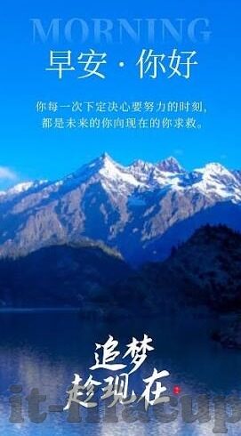 国冠足球比分直播-国冠足球比分直播，一场全民共享的足球盛宴与数字时代的观赛革命