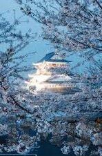 析亚欧足球比分-亚欧足球比分深度解析，战术风格、联赛特性与竞技格局的碰撞
